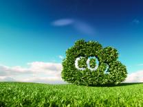 5 najboljih načina da CO2 izvučemo iz atmosfere