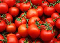 Osvežavajuća jela od paradajza